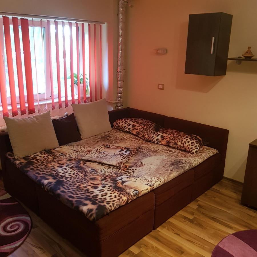 Garsoniera Delia Apartment Constanta Exterior photo
