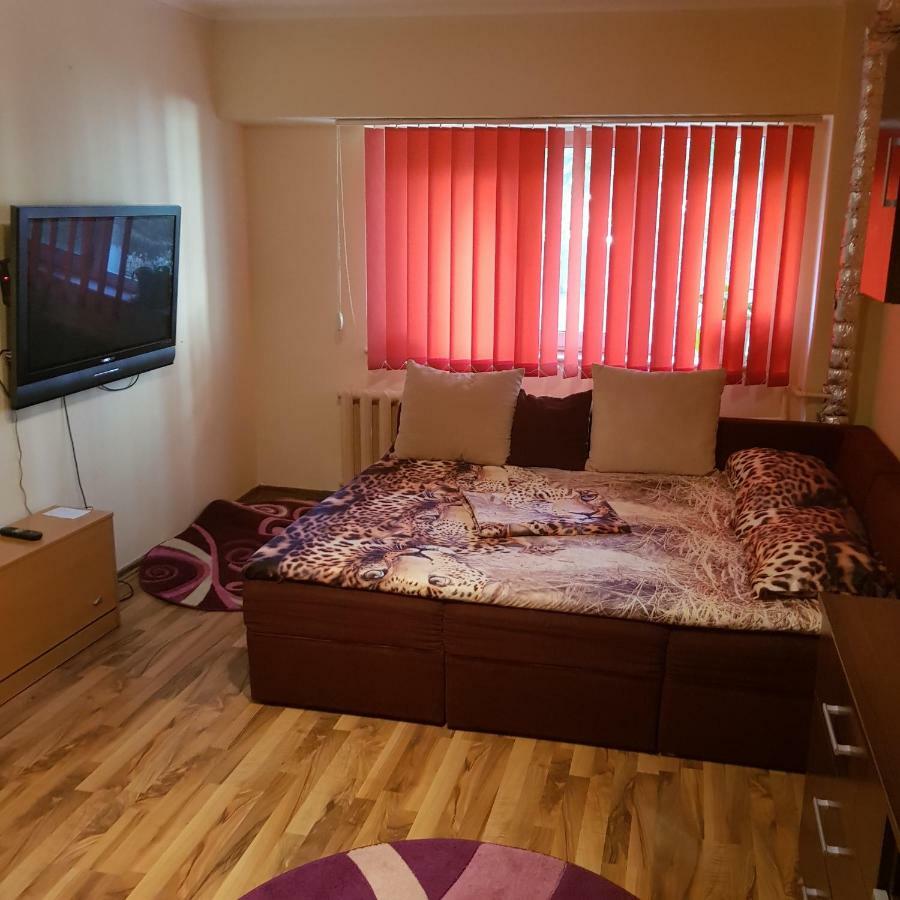 Garsoniera Delia Apartment Constanta Exterior photo